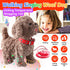 Marsjoy Set, Teddy Walking Barking Dog Toy Singing Puppy Repeat What You Say Teddy with Control Leash Electronic Dog