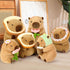 Ditucu Cute Capybara Plush Pillow, Wearable Toast Headgear Stuffed Animals Gifts for Kids 13.7 inch