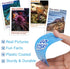 BenBen Go Fish Card Game for Kids - 104 Ocean Theme Memory Matching Cards with Real Photos, Fun Facts