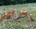 Gemini&Genius Jaguar Toys, Safari Animal Cheetah and Leopard Family Playset Figures, Wildlife World Models, Birthday