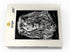 MyPuzzle Premium 1000 Piece Jigsaw Puzzle of Majestic Lion - Black and White Image for Adults