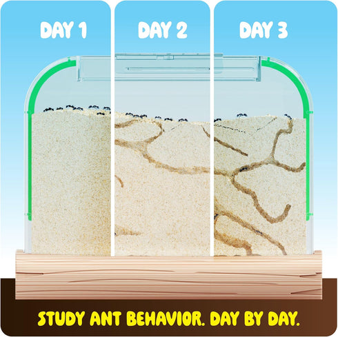 Ant Farm Kit for Kids, Educational Science Gifts, Bug Terrarium House for Boys, Girls & Adults