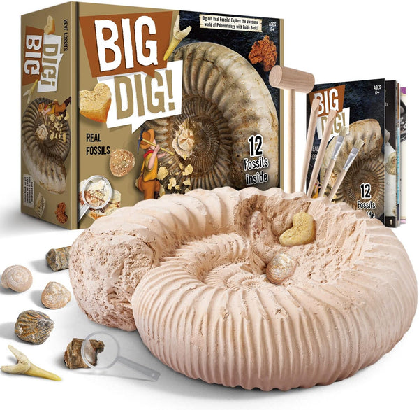 Byncceh Mega Fossil Dig Kit - Excavate 12 Prehistoric Fossils, Educational STEM Science Toys for Kids