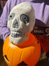 GIANTmicrobes Skull Plush, Anatomical Skull Gift, Halloween Decor, Anatomy Model, Skull Toy