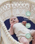 TotCare 20x30 Inch Sense2Snooze, 4 1, 3 Pack Bassinet Sheets for Graco Travel Lite Crib, My View in Dream Suite