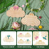 NQEUEPN 2pcs Wooden Baby Announcement Sign, Double-Sided Newborn Gender Reveal Its a Boy Girl Sign Welcome Hello World