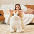 IKASA Giant Ragdoll Cat Stuffed Animal Plush Toy, 23" Jumbo Soft Fluffy Plushie Gifts for Kids