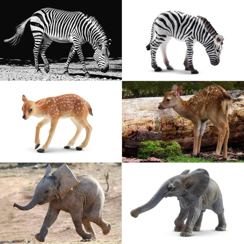 Toymany 12PCS Baby Figurines Forest Animals, Realistic Woodland Figures Toys Includes Elephant, Giraffe, Mountain Lion,