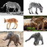 Toymany 12PCS Baby Figurines Forest Animals, Realistic Woodland Figures Toys Includes Elephant, Giraffe, Mountain Lion,