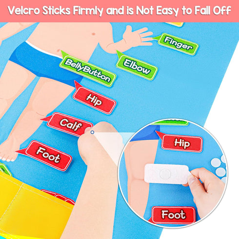 35 Pcs Body Parts Felt Board Set for Kids Preschool Learning Interactive Educational Storytelling Play Kit