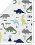 Sweet Jojo Designs Modern Dino Mod Dinosaur Baby Boy Receiving Security Swaddle Blanket for Newborn or Toddler Nursery