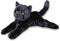 Douglas Tug Black Cat Plush Stuffed Animal