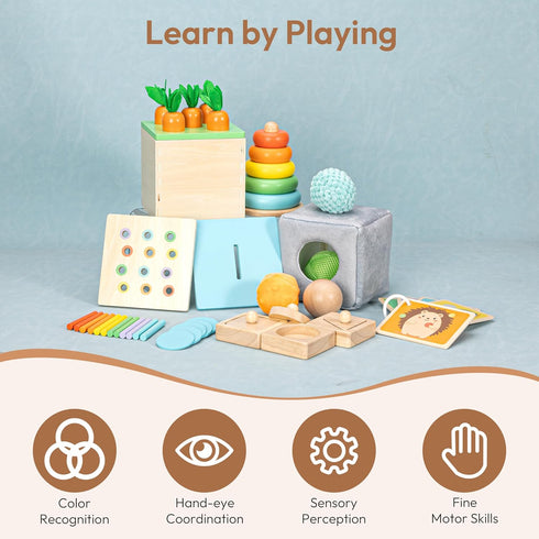 Montessori Toys Set for Babies 13-15 Months, 5 in 1 Educational Wooden Learning Toys with Sensory Ball & Object