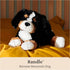 1 13 GUND Randle Bernese Mountain Dog, Premium Stuffed Animal Plush for Ages and Up, Black/Brown