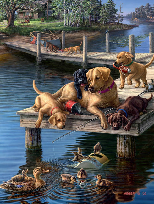 Buffalo Games - James A. Meger - Summer School - 750 Piece Jigsaw Puzzle for Adults - 24.00 x 18.00
