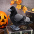 Aoriher 12 Inch Crow Plush Stuffed Animal - Soft Black Fluffy Toy for Home Decoration and Party Favors