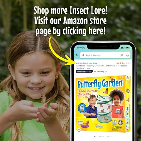 Insect Lore Butterfly Garden - 8" Habitat with 1 Cup Live Baby Caterpillars, Life Cycle Figurines & Stickers Gift Set