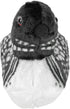Common Wild Republic Audubon Birds Loon Plush with Authentic Bird Sound, Stuffed Animal, Bird Toys for Kids & Birders