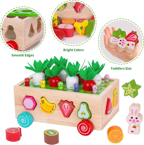 1 2 3 1st 1-3, Toddlers Montessori Wooden Educational Toys for Baby Boys Girls Age Year Old, Shape Sorting Toys One