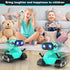 Hamourd Robot Toys - Kids Toys Rechargeable RC Robots, Remote Control Toy with Auto-Demonstration, Flexible Head