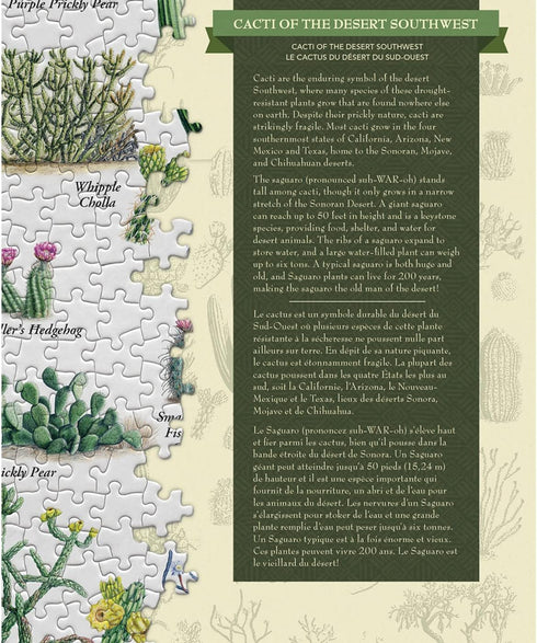 MasterPieces 1000 Piece Jigsaw Puzzle for Adults, Cacti of The Desert Southwest, 19.25"x26.75"