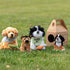 DEMDACO Sitting Small Havanese Dog Plush Stuffed Animal - Black and White