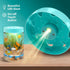 Light Up Dinosaur Terrarium Kit for Kids, Educational Gardening Science Kits, Creative Dinosaur Toys for Ages 4-12