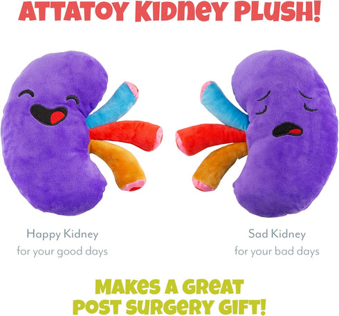 Plush Kidney Stuffed Body Organ Toy for Get Well Gift, Health Education and More