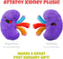 Plush Kidney Stuffed Body Organ Toy for Get Well Gift, Health Education and More
