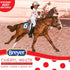 Breyer Horses Freedom Series Cheryl White Horse and Book Set, 1:12 Scale Horse Toy Model, Model #6236