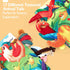 hahaland 2PCS 0-6 Tummy 0-12 Baby Books for Baby Shower Gifts - - Baby Toys Months - Touch & Feel Time Sensory Soft