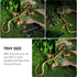 NUOBESTY Lizard Figurine Fake Plastic Lizard Toy Action Figure, Reptile Toy for Collection and Education (Green)