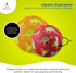 Crocodile Creek Rubber Playground Ball, Ships Inflated, Durable Design for Indoor Outdoor Games for Kids 3 Years and Up.