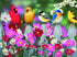 SUNSOUT INC - Songbirds and Cosmos - 500 pc Jigsaw Puzzle by William Vanderdasson, 18 x 24