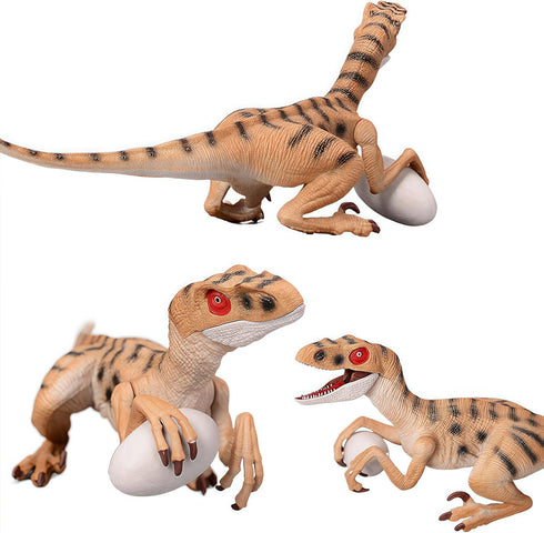 Gemini&Genius Velociraptor Dinosaur Toy for Kids, 7.8 Inches Oviraptor Action Figure with Moveable Parts