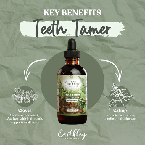 3+ (1.69 oz 500 Earthley Wellness Teeth Tamer, Teething Relief for Babies & Kids, Organic Herbal Formula, Soothes