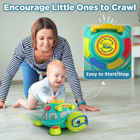 6-12 6 7 8 9 10 3-6-9-12 Educational Baby Toys Month, Musical Crawling Turtle, Infant Toys for Month Old Boy Girl