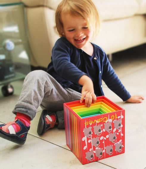 TOWO Wooden Stacking Boxes - Nesting and Sorting Cups, Numbers, Alphabet, Animals Blocks for Toddlers, Educational Toys