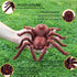 New Remote Control Scary Creepy Realistic Spider 2 Channel Infrared RC Model Toy Gift for Kids