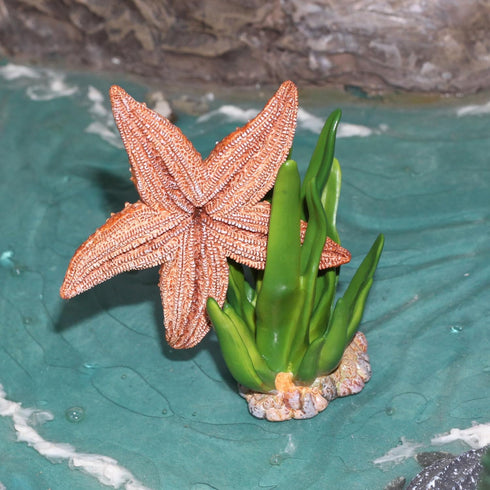 Gemini&Genius Starfish Toys for Kids - Realistic Starfish Figurine Toy - Under The Sea Life Figure Educational Gifts