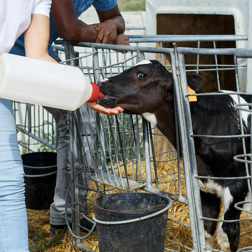 MODUODUO 2.11 Calf Bottle Lamb Feeding Nipple Quart Calves Nursing Feeder with a Replacement Teat for Baby Livestock