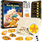 GobiDex Sea Life Amber Dig Kit, Educational STEM Activities for Kids Age 6-12, Dig Up 6 Real Shellfish