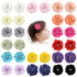30pcs Baby Girls Alligator Hair Clips, Chiffon Flower Hair Barrettes Accessories for Kids, Toddlers, Teens (01)