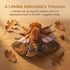 Frankiezhou Home 26in, Ginkgo Moth Plush Toy, Giant Ginkgo Moth Stuffed Animals Realistic Soft Big Moth Plushie Model