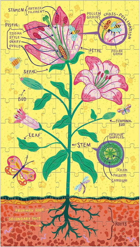 Mudpuppy Plant Anatomy Science Puzzle Set - Three 100-Piece Puzzles with Colorful Illustrations, Ages 6+