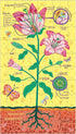 Mudpuppy Plant Anatomy Science Puzzle Set - Three 100-Piece Puzzles with Colorful Illustrations, Ages 6+