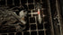 14+, 1 5 40 60 The Night Cage Expansion The Shrieking Hollow by Smirk & Dagger Tile Placement Cooperative Board Game