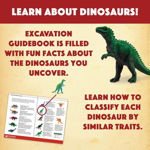 Excavate Your Own Dinosaur Eggs Kit - Educational Digging Adventure