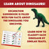 Excavate Your Own Dinosaur Eggs Kit - Educational Digging Adventure