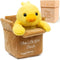 Hugglethorn Life Box Duck - Emotional Support Duck for Adults Weighted Stuffed Animal